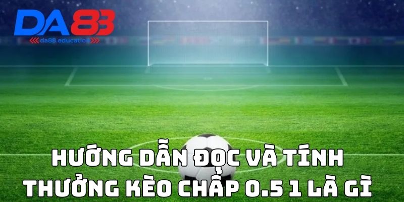 Hướng dẫn đọc và tính thưởng kèo chấp 0.5 1 là gì