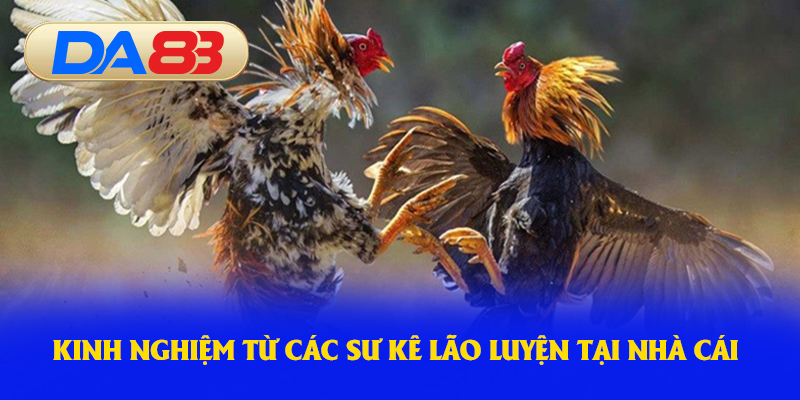 Các bước để hội viên đăng ký DA88 nhanh gọn
